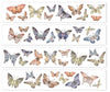 Meow Illustration Butterfly PET Tape in iridescent colors and varying shapes.