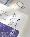 Pion - Flowers & Lace Die Cut Stickers (1 sheet)