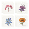 Yeesan Loh - Flowers Mini Cards Set
