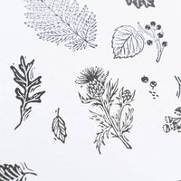Archer and Olive -  FOREST FOLIAGE | Acrylic Stamps