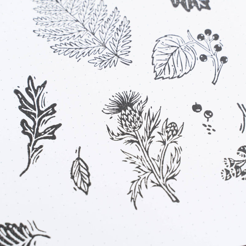 Archer and Olive -  FOREST FOLIAGE | Acrylic Stamps