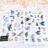 Pion - Bird Island Rub-On/Transfer Stickers (2 sheets)