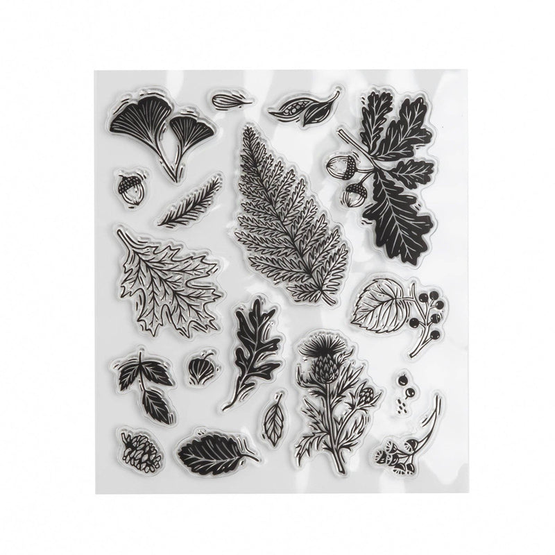 Archer and Olive -  FOREST FOLIAGE | Acrylic Stamps