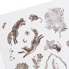 Archer and Olive -  FOREST FINDINGS | Acrylic Stamp