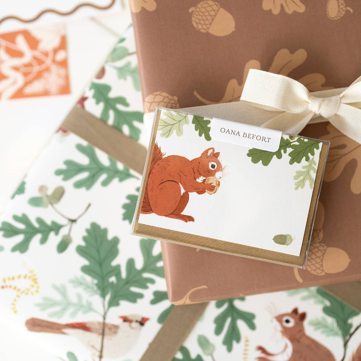 Botanica Paper Co. - SQUIRREL | Mini Boxed Cards of 8