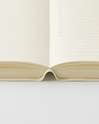 Midori - 2027 1-DAY-1-PAGE (A5 or A6) | MD Notebook Diary